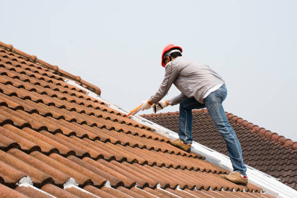Reliable Dansville, NY  Roofing repair and installation Solutions