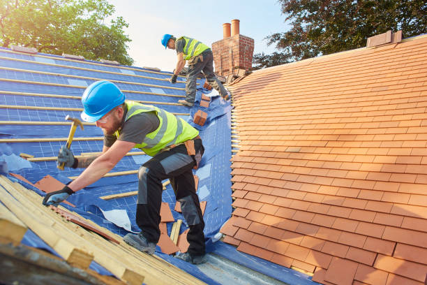 Best Storm Damage Roof Repair  in Dansville, NY